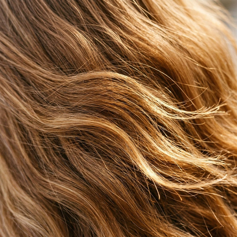 Light Brown hair